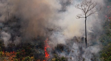 Look No Further Than Brazil’s Amazon Fire for the Dangers of Deregulation