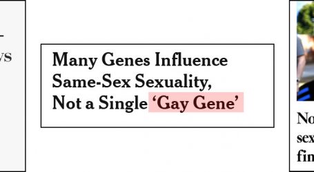 There’s No Gay Gene. In Fact, There’s No Anything Gene.
