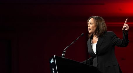 Kamala Harris Gets a D- For Her Climate Plan
