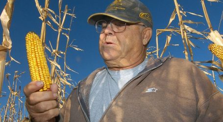 Trump Picked Big Oil Over Big Corn—and Now Farmers Are Pissed