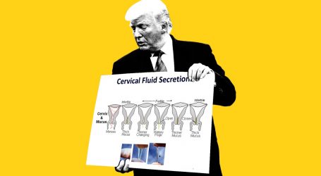 The Trump Administration Would Like to Talk to You for a Second About Your Cervical Mucus