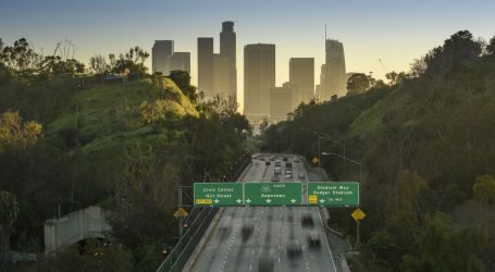 Los Angeles, a City Known for Its Freeways, Is About to Plant a Shit Ton of Trees