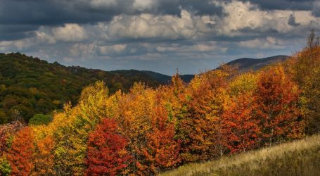 How to See Fall Colors Without a Car