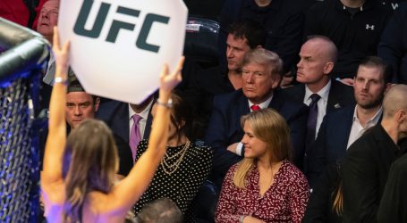 Trump Is in Denial About Getting Booed Again, This Time at a UFC Fight
