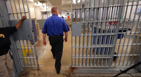 ICE’s Revolving Door: Top Official Goes to Work for Private Prison Company