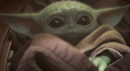 The Award for Best New Species of 2019: A Tiny Primate That Looks Like Baby Yoda