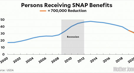 Raw Data: New SNAP Rules Will Cut Benefit Rolls