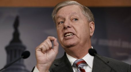 A House Impeachment Manager Just Trolled Lindsey Graham on the Senate Floor