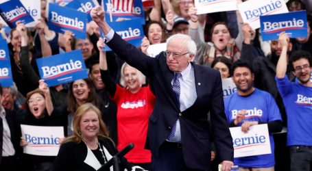The Democratic Primary Is About to Get Wild After New Hampshire