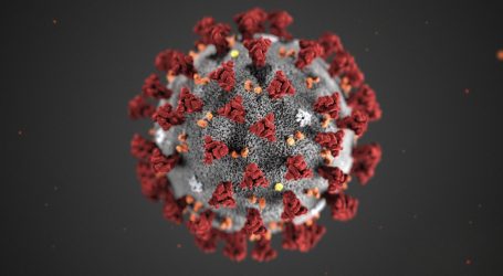 A Virologist Provides Some Coronavirus Perspective