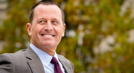 Richard Grenell, Profile in Courage