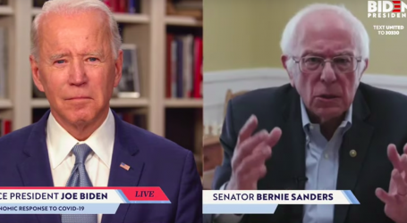 Bernie Sanders Endorses Joe Biden, Suggests They Should Play Chess