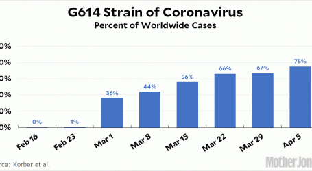 Newer, More Infectious Strain of Coronavirus Has Taken Over the World