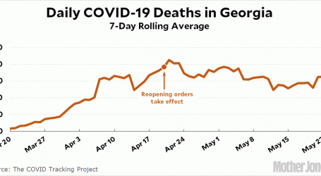 COVID-19 Death Rates in Georgia