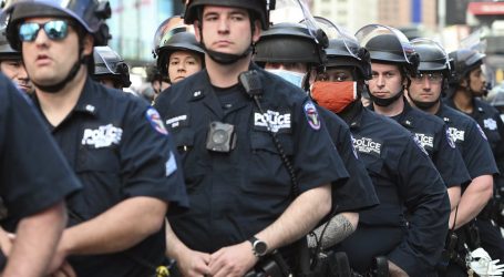 Defunding the Police Doesn’t Poll Well. That Doesn’t Matter.