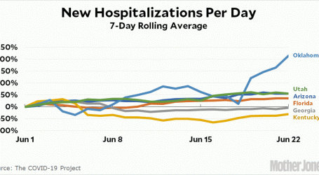 Raw Data: COVID-19 Hospitalizations in Six States