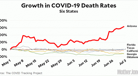 Cases vs. Deaths: COVID-19 Mortality by State