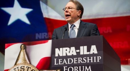 New York Attorney General Sues to Dissolve the NRA