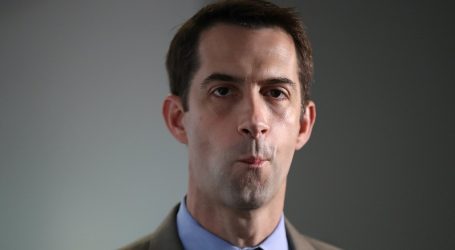 Tom Cotton Went on Fox News to Make the Case for a Quick Supreme Court Nomination. It Went Poorly.
