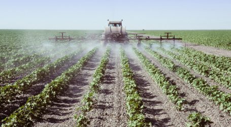 As Election Day Nears, Trump’s EPA Chief Gives Georgia Cotton Farmers the Gift of a Nasty Pesticide