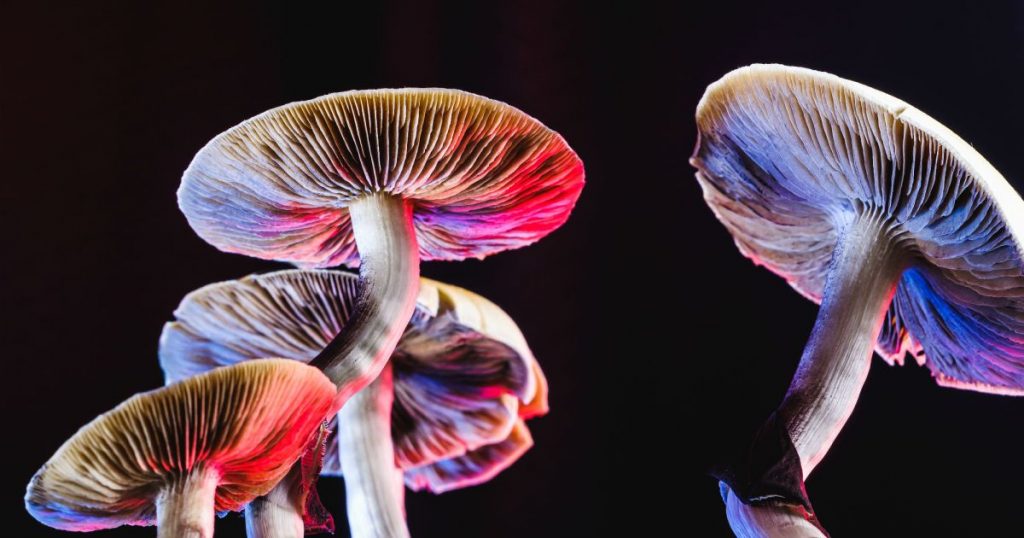 will-oregon-be-the-first-state-to-legalize-access-to-magic-mushrooms?