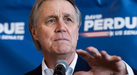 Georgia Senator David Perdue Privately Pushed for a Tax Break for Rich Sports Team Owners