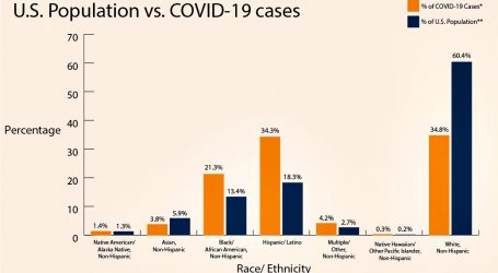 Two Theories Explain COVID-19 Racial Disparities. Which Is Right?