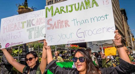 The House Just Voted to Decriminalize Marijuana