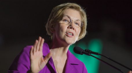 Elizabeth Warren Plans to Introduce Wealth Tax in the Senate
