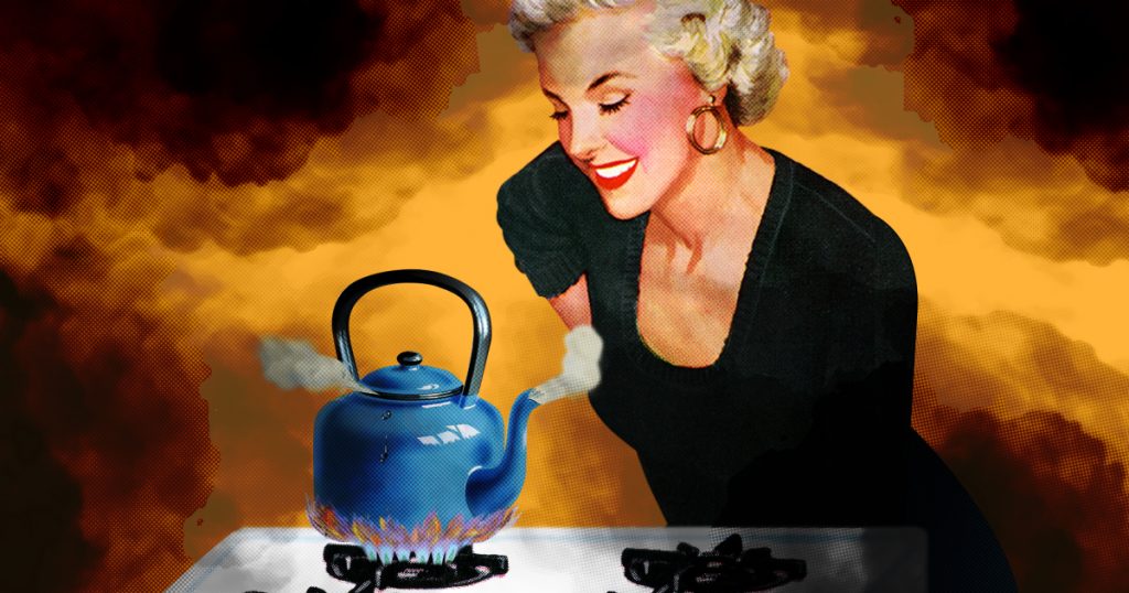 how-the-fossil-fuel-industry-convinced-americans-to-love-gas-stoves