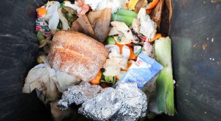 We Throw Out More Than 2 Trillion Pounds of Food Every Year, UN Says