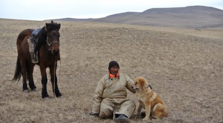 How This Regal Canine Could Help Save the Mongolian Steppe