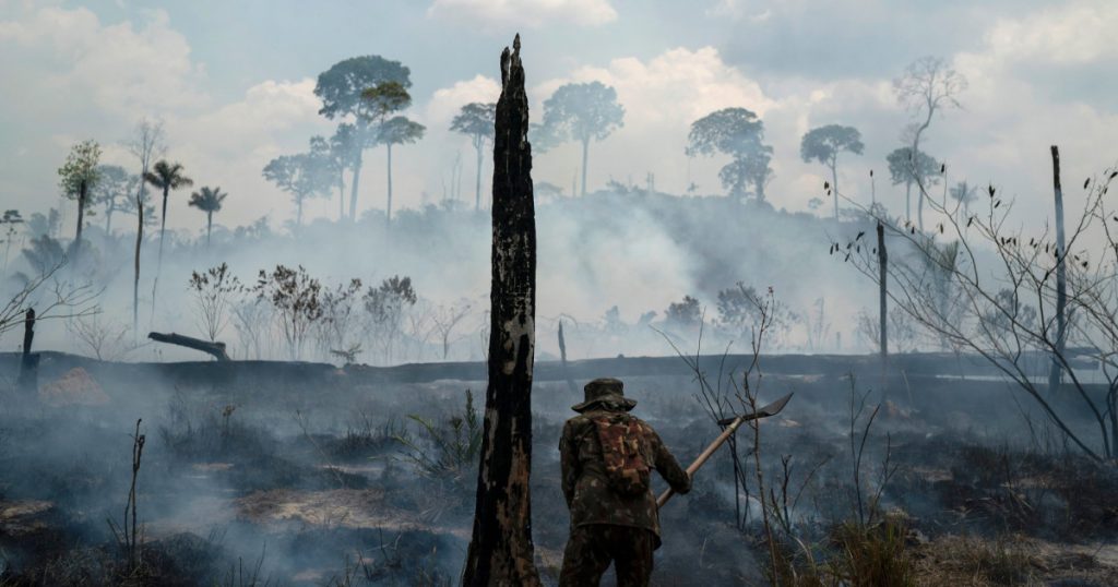 indigenous-and-environmental-groups-warn-biden-not-to-trust-bolsonaro