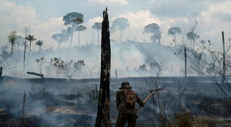 Indigenous and Environmental Groups Warn Biden Not to Trust Bolsonaro
