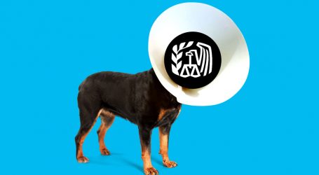 The IRS Used to Be a Guard Dog. Republicans Neutered It.
