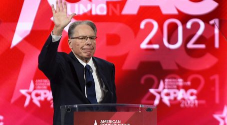 NRA Chief LaPierre Hunted Elephants in Botswana, Video Shows
