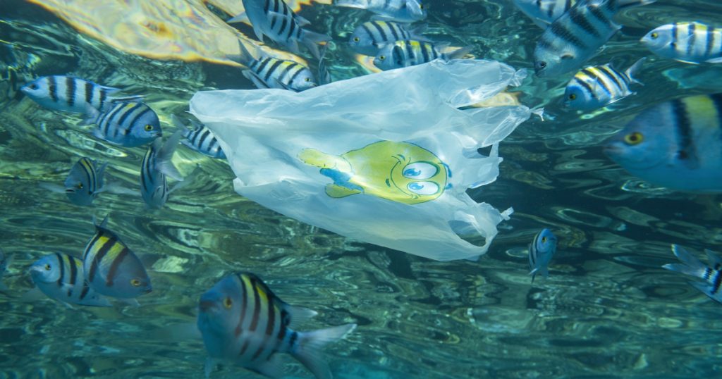 plastics-from-takeout-food-are-clogging-up-our-oceans,-study-shows
