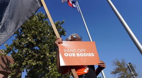 TikTokers and Coders Are Trying to Spam This Texas Anti-Abortion Site Into the Ground