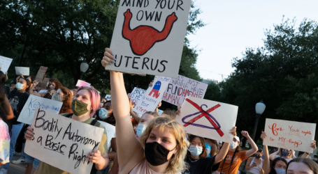 How the Pandemic Prepared Texas Abortion Networks for the Worst