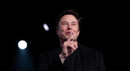 Is Elon Musk Really Making Investing Decisions via Twitter Poll?