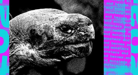 Hero: Fernanda the Tortoise, Whose Species  Everyone Thought Was Extinct