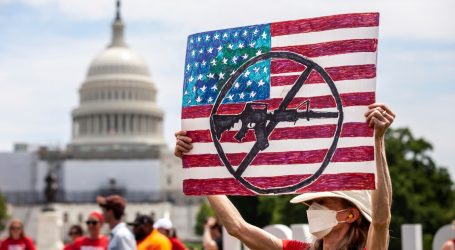 What to Really Look for With the Senate Deal on Guns
