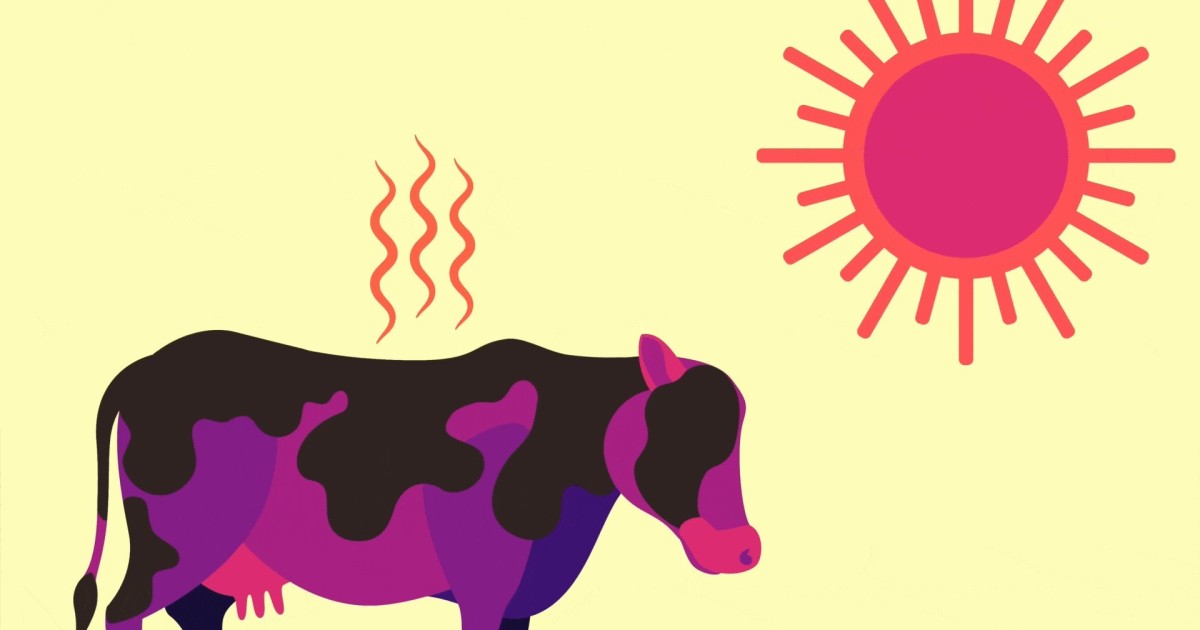 What Happens If the World Gets Too Hot for Animals to Survive
