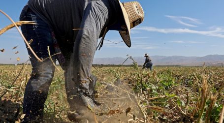 Conservative Courts and the Filibuster Are Blocking Heat Protections for Farmworkers