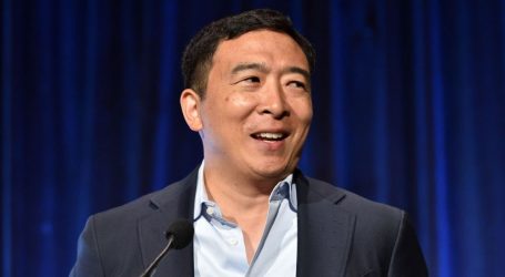 Is the Democratic Party Proving Andrew Yang’s Point?