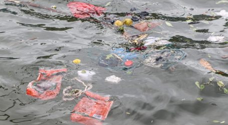 Human Pathogens Are Hitching a Ride on Floating Plastic