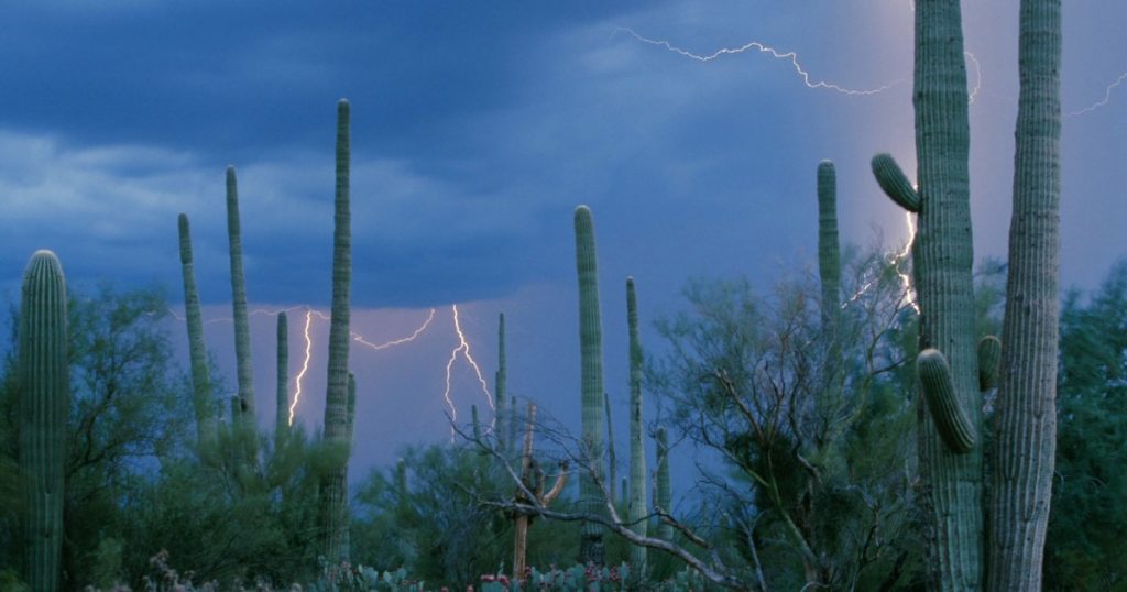 scientists-are-unraveling-the-origins-of-the-southwest’s-monsoon
