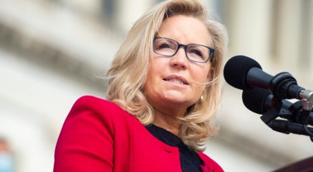 Liz Cheney Is Set on Keeping “Election Deniers” Out of Office—Including Donald Trump