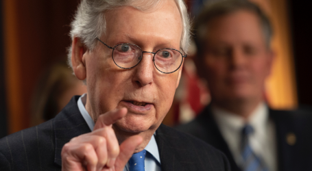 An Investigation: Who Is Mitch McConnell Condemning?