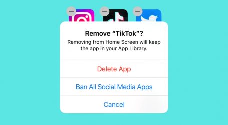 Congress Might Want a TikTok Ban, But Their Questions Suggest Going Further